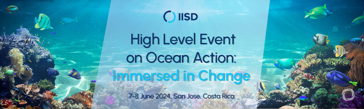 High Level Event on Ocean Action: Immersed in Change