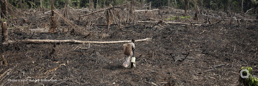 Global Fund and African civil societies reaffirm commitment to support community-led response to climate change Global Fund and African civil societies reaffirm commitment to support community-led response to climate change