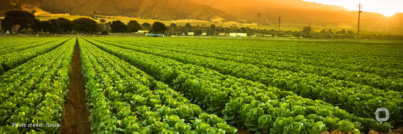 New action plan launched for implementing FAO strategy on Mainstreaming Biodiversity Across Agricultural Sectors as biodiversity-related projects approved New action plan launched for implementing FAO strategy on Mainstreaming Biodiversity Across Agricultural Sectors as biodiversity-related projects approved