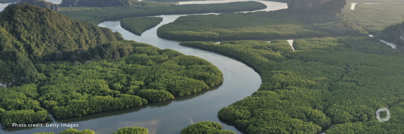 USAID supports new Amazon rainforest investments to advance sustainable development USAID supports new Amazon rainforest investments to advance sustainable development