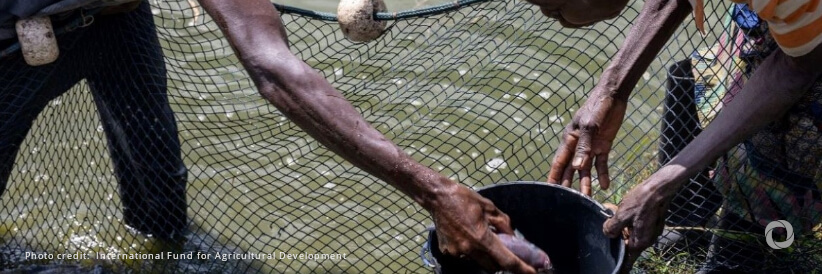 Benin: a government and African Development Bank project launched to boost the fisheries and aquaculture sector Benin: a government and African Development Bank project launched to boost the fisheries and aquaculture sector