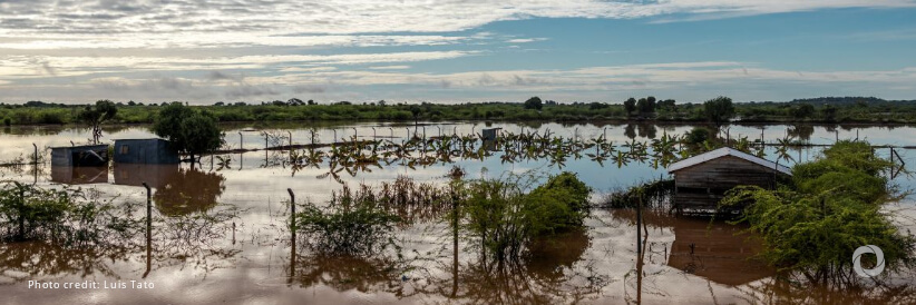 Scores killed as intense rainfall and flooding hits Kenya
