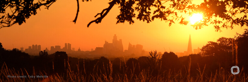 Global temperature record streak continues, as climate change makes heatwaves more extreme