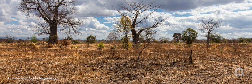WFP welcomes UK Government's £3 million contribution towards Malawi’s El Niño appeal