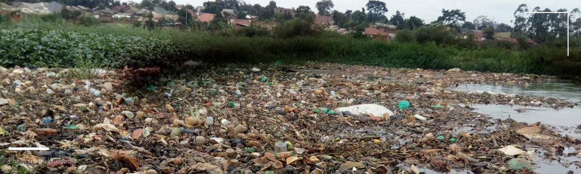 Water pollution in Uganda: A g