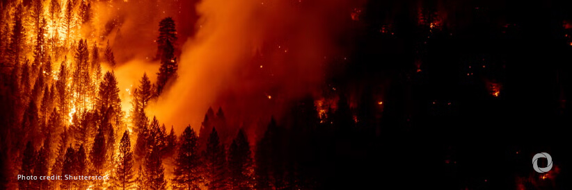 Biden-Harris Administration invests $250M to reduce wildfire risk to communities across state, private, and tribal lands as part of investing in America agenda Biden-Harris Administration invests $250M to reduce wildfire risk to communities across state, private, and tribal lands as part of investing in America agenda