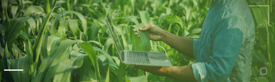 Artificial intelligence is revolutionizing agricultural sector in sub-Saharan Africa