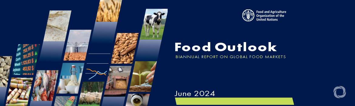 FAO foresees a stable outlook for most food commodity markets in 2024/25