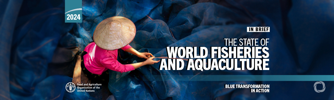 FAO Report: Global fisheries and aquaculture production reaches a new record high