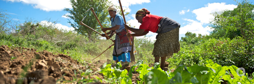 African Development Bank, African Union, United States Government, International Fund for Agricultural Development, CGIAR advance ties to boost Africa’s food production