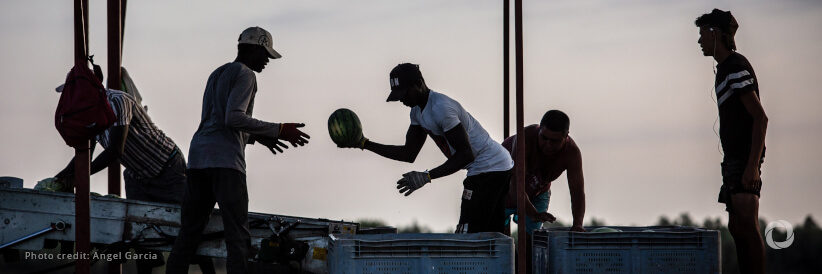 ILO addresses strategies to integrate trade and promote decent work in Latin America and the Caribbean ILO addresses strategies to integrate trade and promote decent work in Latin America and the Caribbean