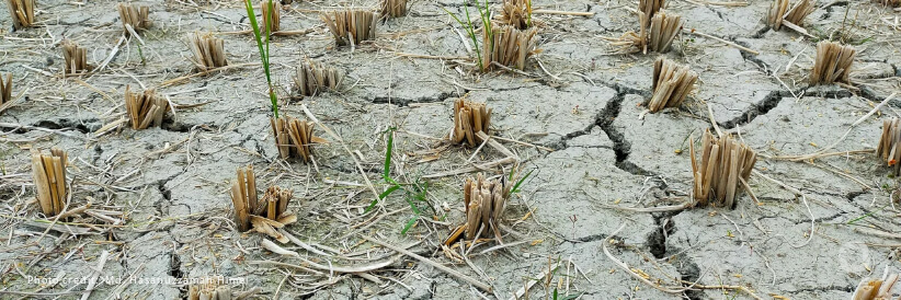 Urgent call to action to address historic El Niño drought in Southern Africa Urgent call to action to address historic El Niño drought in Southern Africa