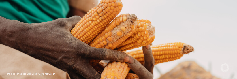 OPEC Fund deepens partnership with IFAD to strengthen food security and climate action OPEC Fund deepens partnership with IFAD to strengthen food security and climate action