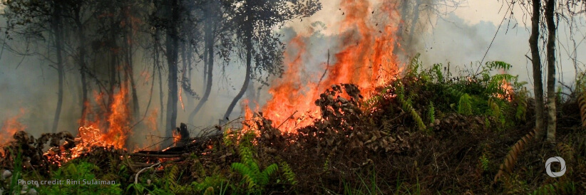 CABEI grants a second US$100,000 in emergency aid to control forest fires in Guatemala