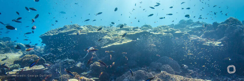 World Bank’s PROBLUE ocean trust fund extended to 2030