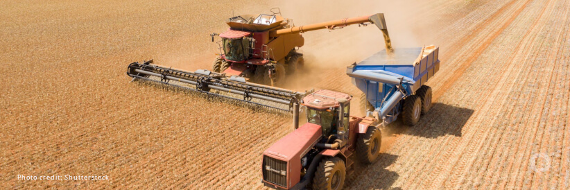 African Development Bank, WFP project boosts wheat production in war-torn Sudan amid soaring hunger African Development Bank, WFP project boosts wheat production in war-torn Sudan amid soaring hunger