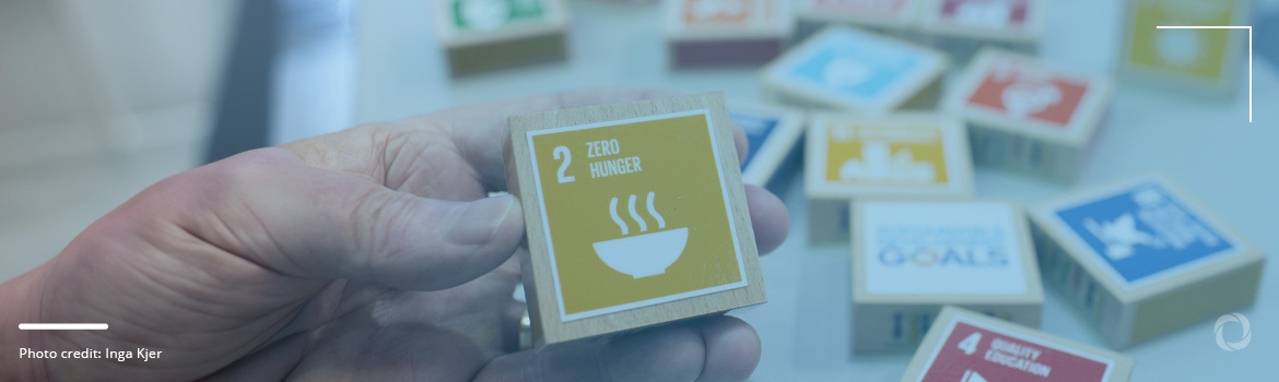 EU’s progress towards and shift away from achieving sustainable development goals