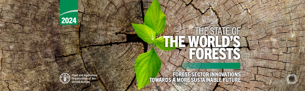 Forests face increasing climate-related stress amid growing demand for their products, FAO report warns