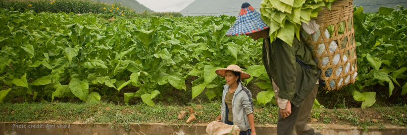 China contributes US$10 million to scale up South-South and Triangular Cooperation with IFAD China contributes US$10 million to scale up South-South and Triangular Cooperation with IFAD