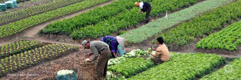 WMO and FAO partnering to enhance early warnings for the agriculture sector
