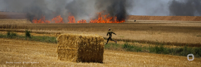 More than half of Gaza’s cropland has been damaged by conflict