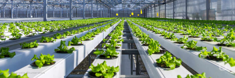 Empowering farmers: The role of agrometeorological services in sustainable agriculture