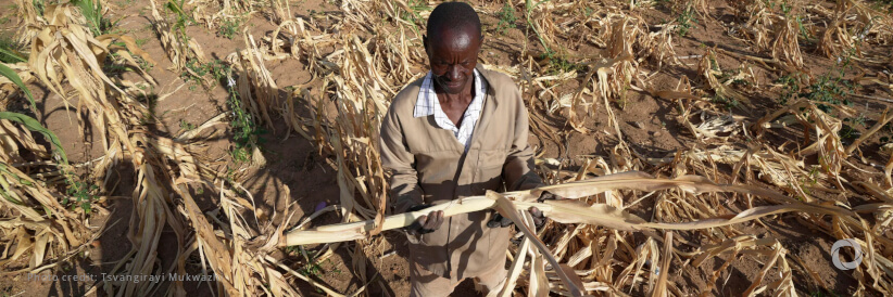 UN central emergency response fund contributes to WFP's assistance to families affected by El Niño in Angola