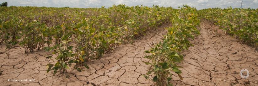 UN and partners launch emergency appeal to address severe drought in Malawi