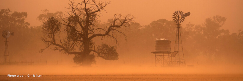Sand and dust storms are more intense and frequent threating agriculture and communities Sand and dust storms are more intense and frequent threating agriculture and communities