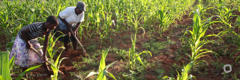 The United States announces more than $39 million in assistance to the people of Zimbabwe