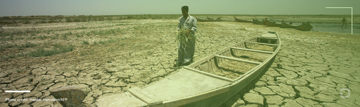 Iraq chokes on dust: Desertification ravages land and lives