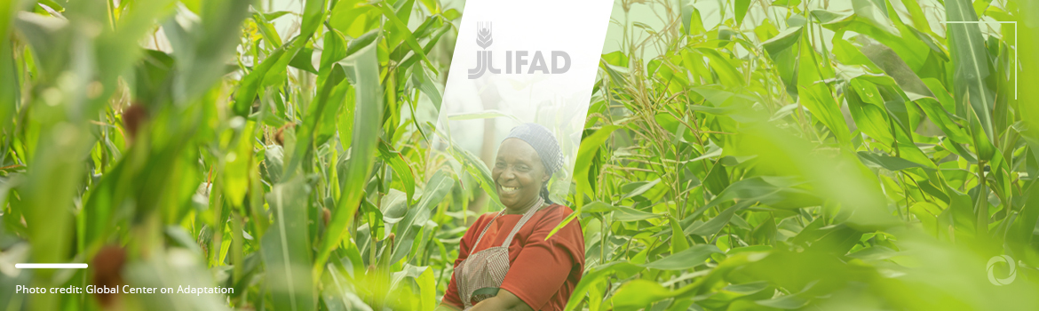 Five IFAD’s sustainable agriculture programs boosting food security in Africa