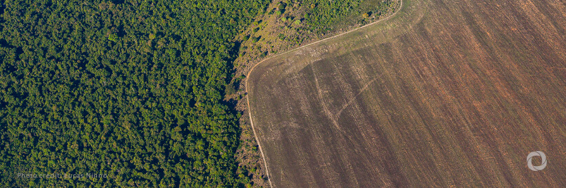 Investors support Amazon reforestation through record breaking USD 225 million World Bank outcome bond Investors support Amazon reforestation through record breaking USD 225 million World Bank outcome bond