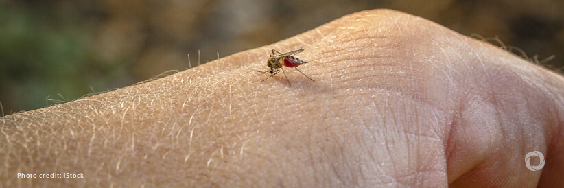 PAHO intensifies support to Central America to control dengue PAHO intensifies support to Central America to control dengue