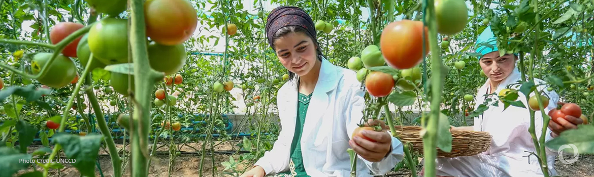 Republic of Korea provides US$10 million to WFP's resilience-building efforts in Tajikistan