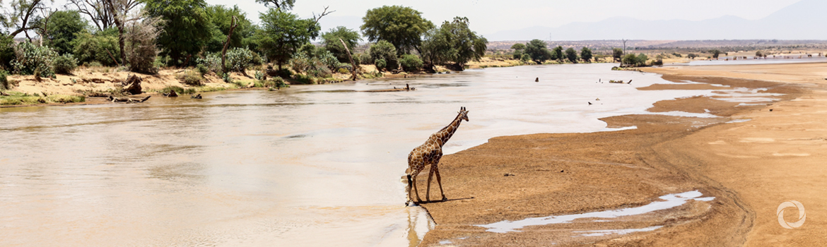Zambia joins UN Water Convention to boost cooperation to address drought and water challenges Zambia joins UN Water Convention to boost cooperation to address drought and water challenges