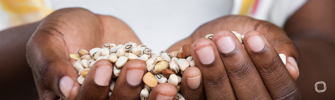 USAID announces $40 million to address continued food insecurity and build resilience on the African continent