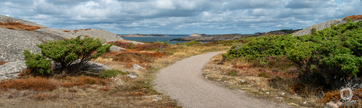 UNEP Copenhagen Climate Centre and Belize continue transparency work for net-zero transport