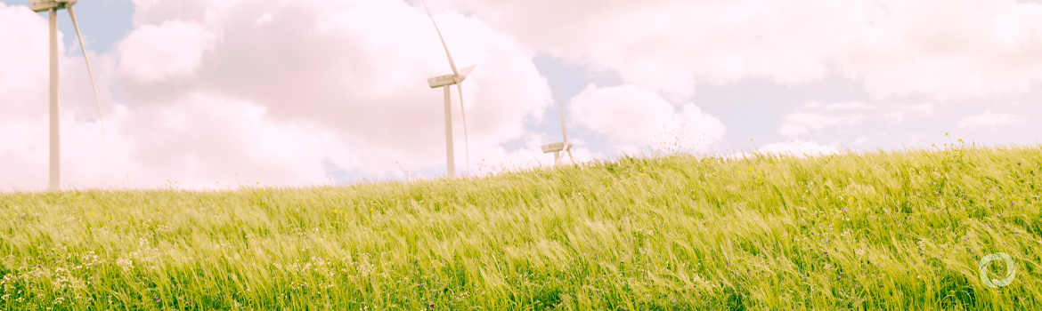 New air quality management platform to support global clean air action New air quality management platform to support global clean air action