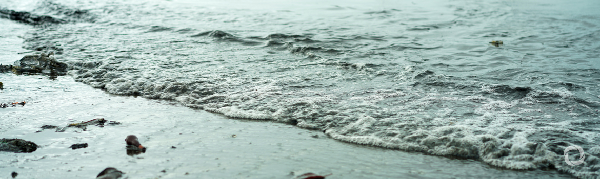 World Bank approves $6.39 million grant to reduce pollution in the Black Sea World Bank approves $6.39 million grant to reduce pollution in the Black Sea