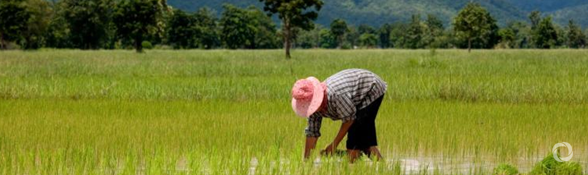 Towards a weather-ready and climate resilient ASEAN