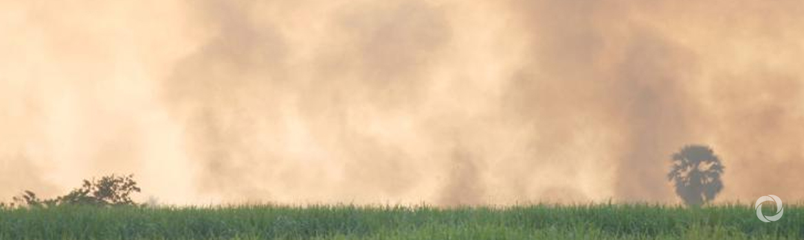 Vicious circle of climate change, wildfires and air pollution has major impacts Vicious circle of climate change, wildfires and air pollution has major impacts