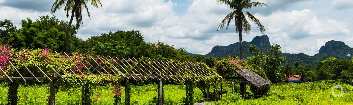World Bank works to ensure Pacific Island Countries stay connected to global financial system World Bank works to ensure Pacific Island Countries stay connected to global financial system