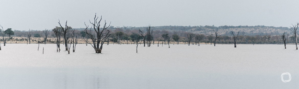 Pakistan: Over half of flood-related deaths are children as heavy rains displace thousands Pakistan: Over half of flood-related deaths are children as heavy rains displace thousands