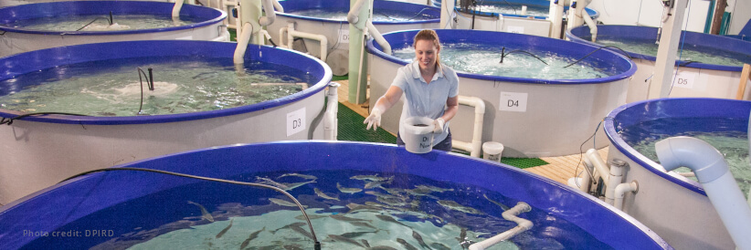 G7: Boosting aquatic foods’ role in ending hunger and poverty G7: Boosting aquatic foods’ role in ending hunger and poverty
