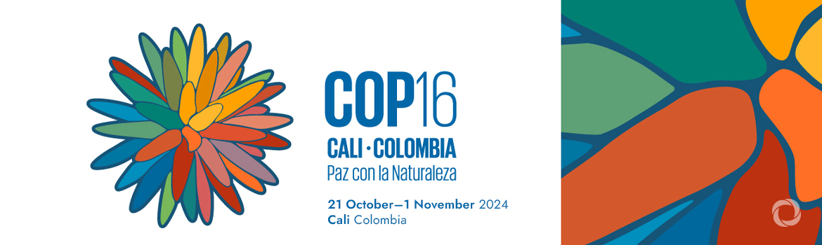 UN Biodiversity Conference (COP 16)