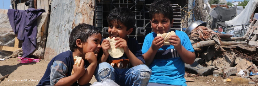 Israel’s siege blocks 83% of food aid reaching Gaza, new data reveals