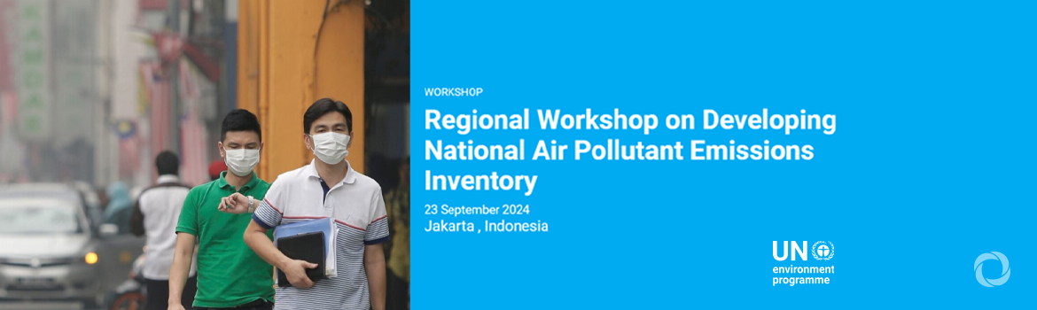 Regional workshop on developing national air pollutant emissions inventory Regional workshop on developing national air pollutant emissions inventory