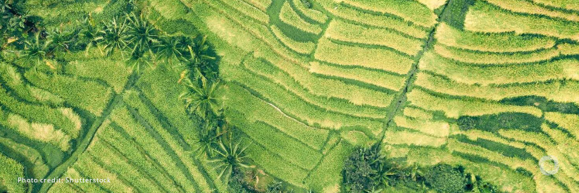 Too few countries on track to restore nature by 2030, unveils new country tracker ahead of global nature conference Too few countries on track to restore nature by 2030, unveils new country tracker ahead of global nature conference