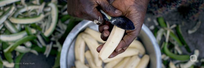 Ireland and WFP renew partnership to support self-reliance for refugees and boost food security in Karamoja Ireland and WFP renew partnership to support self-reliance for refugees and boost food security in Karamoja